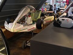 -枫花园汽车电影院(朝阳公园店)