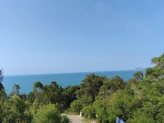 -广东惠东海龟国家级自然保护区