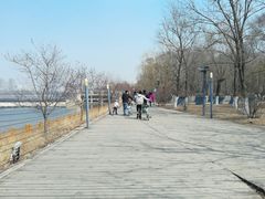 -长白岛森林公园