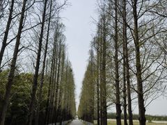 -嘉北郊野公园