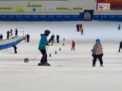 游乐设施-绍兴启迪乔波冰雪世界