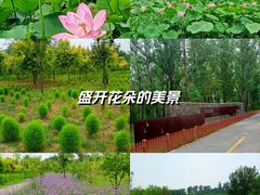 -东郊湿地公园