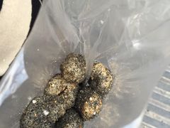 -叶氏麻糍(鼓浪屿店)