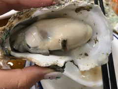 原只蒸生蚝-蚝得喜海鲜(东城店)