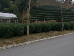 -天地生态农庄
