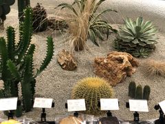 -OUR Bakery(SKP-S店)