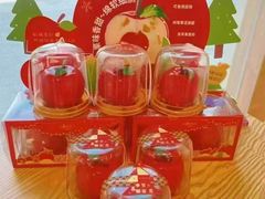 -GANSO元祖食品(锦创书城店)