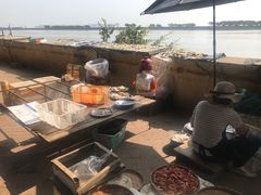 -大湾区中央湿地公园-十九涌