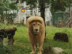 -广州动物园