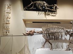 -国家自然博物馆