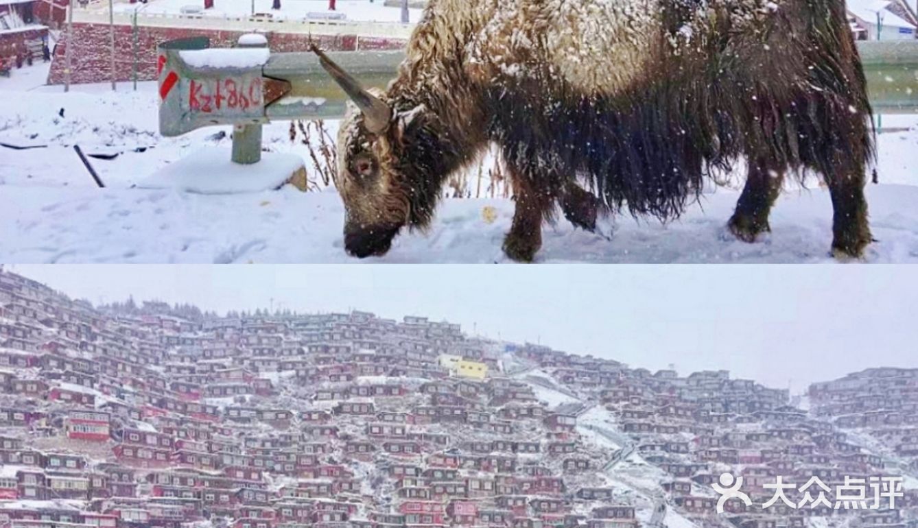 有些地方对我来说，一生去一次足矣