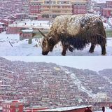 有些地方对我来说，一生去一次足矣