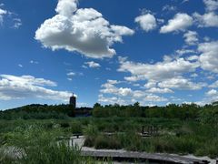 -永定河休闲森林公园