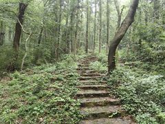 -句容茅山景区