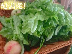 -北戴河集发农业梦想王国