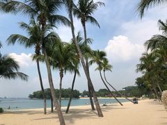 -巴拉湾海滩
