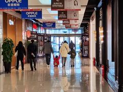 -张士灯具城(家居优选店)
