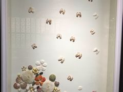 -青岛贝壳博物馆
