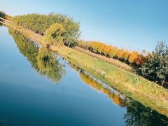 -东郊湿地公园