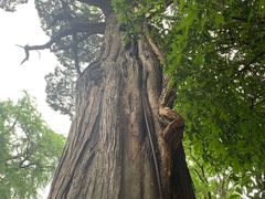 -青岛崂山太清宫