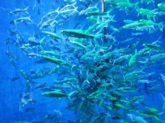 -成都浩海立方海洋公园