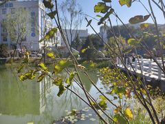 -首都医科大学宣武医院