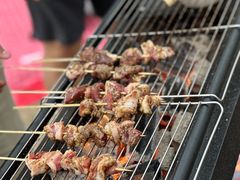 -春花秋色城市公园