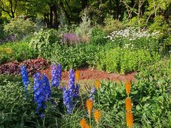 -上海共青森林公园