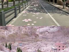 -青岛第一海水浴场