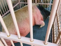 -小时光咖啡馆(开森度假森林店)