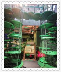 -恐龙探索乐园(磁器口店)