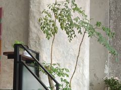 -Laures·月桂西班牙碳烤餐厅(十尚坊店)