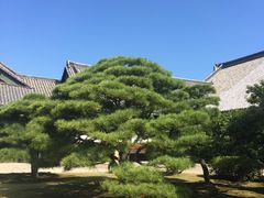 -京都御所