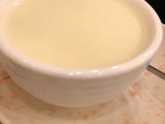 姜撞奶-顺记冰室(宝华路店)