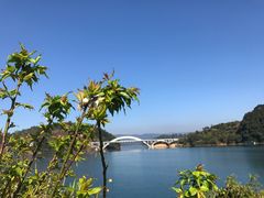 -广州市流溪河国家森林公园