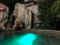 -万象温泉景区