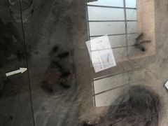 -延庆地质公园博物馆