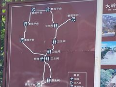 -大岭沟猕猴桃谷风景区