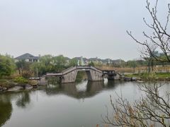 -杭州湾海上花田景区