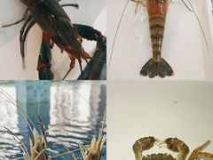 -SHRIMP CLUB万东餐饮钓虾·清吧