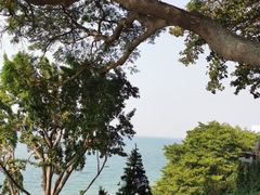-网红落日悬崖餐厅 The Sky Gallery