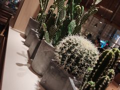 -蜜桃餐厅·伴山(湖滨商业街店)