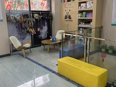 -瑞派名望24h动物医院异宠专科·猫专科·骨科·重症监护分院