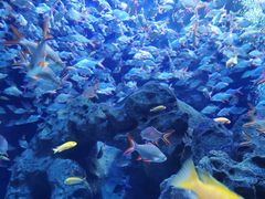 -成都浩海立方海洋公园