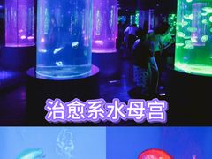 -南昌海洋公园