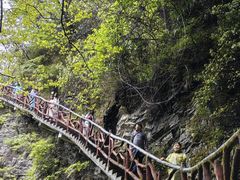 -鹿院坪生态旅游景区