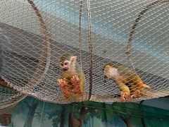 -辛玛王国游乐园