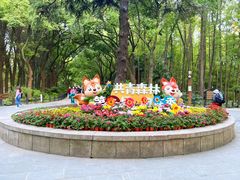 -上海共青森林公园