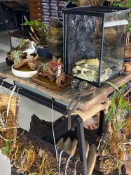 -周忆刺青原创设计定制