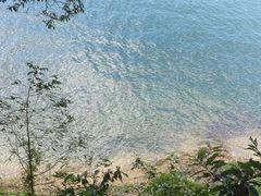 -广州市流溪河国家森林公园
